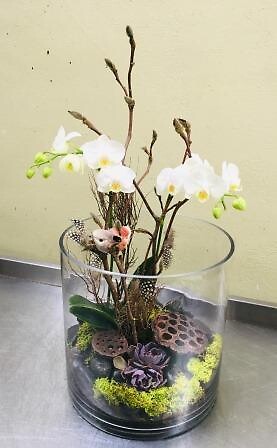 Orchid with bird accent
